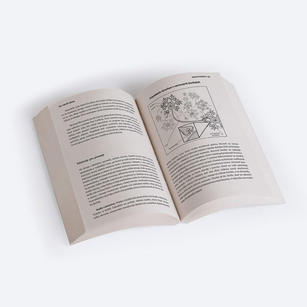 Deti za hranicami možností